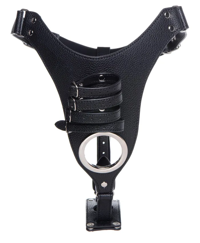 Strict Male Chastity Harness with Silicone Anal Plug | Male Sex Toys